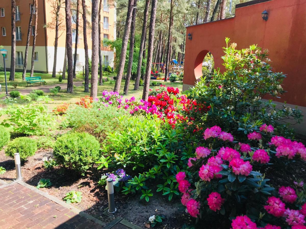 Millennium Health Resort & Spa مينزفوجة المظهر الخارجي الصورة